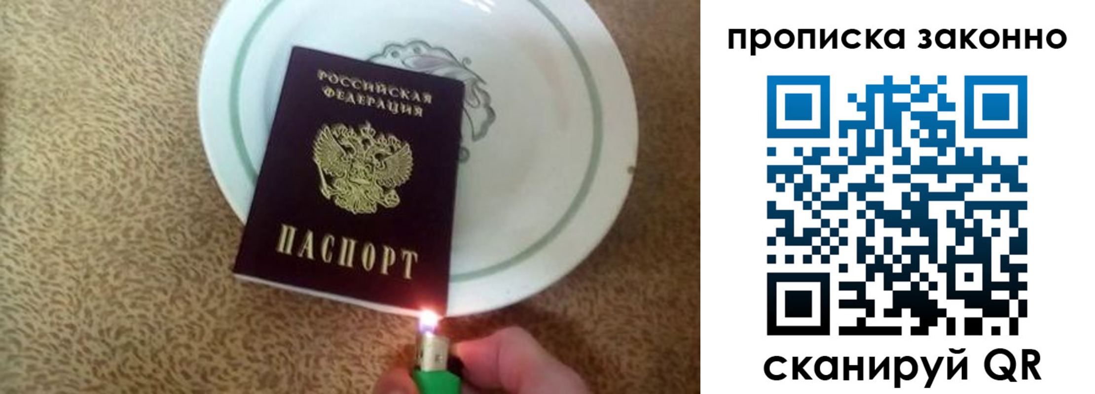 прописка поиск в Белореченске